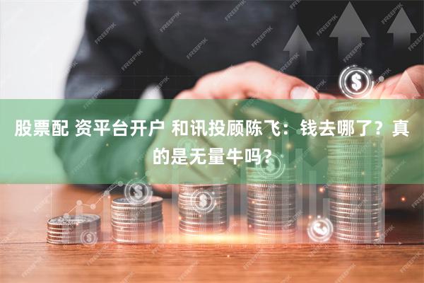 股票配 资平台开户 和讯投顾陈飞：钱去哪了？真的是无量牛吗？
