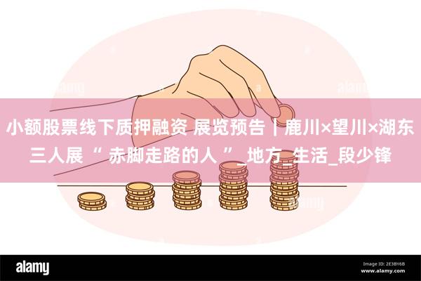 小额股票线下质押融资 展览预告｜鹿川×望川×湖东三人展 “ 赤脚走路的人 ”_地方_生活_段少锋