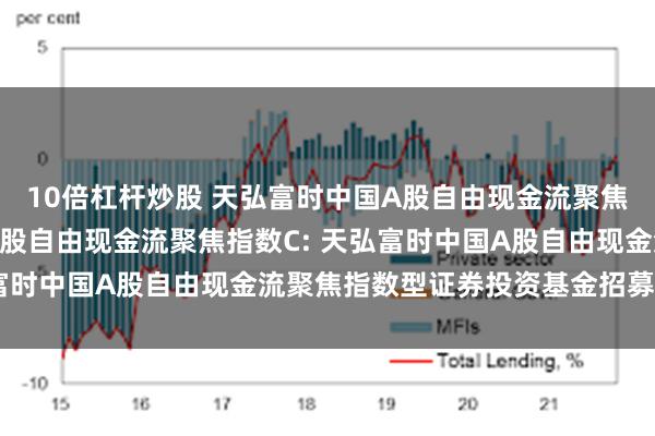 10倍杠杆炒股 天弘富时中国A股自由现金流聚焦指数A,天弘富时中国A股自由现金流聚焦指数C: 天弘富时中国A股自由现金流聚焦指数型证券投资基金招募说明书